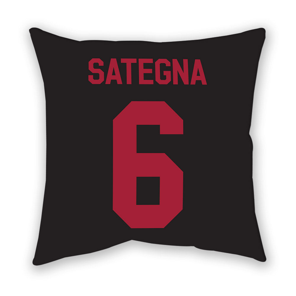 Arkansas - NCAA Football : Isaiah Sategna - Pillow-1