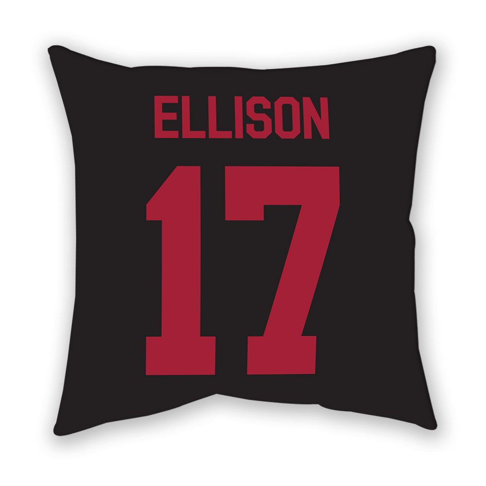 Arkansas - NCAA Women's Volleyball : Skylar Ellison - Pillow-1