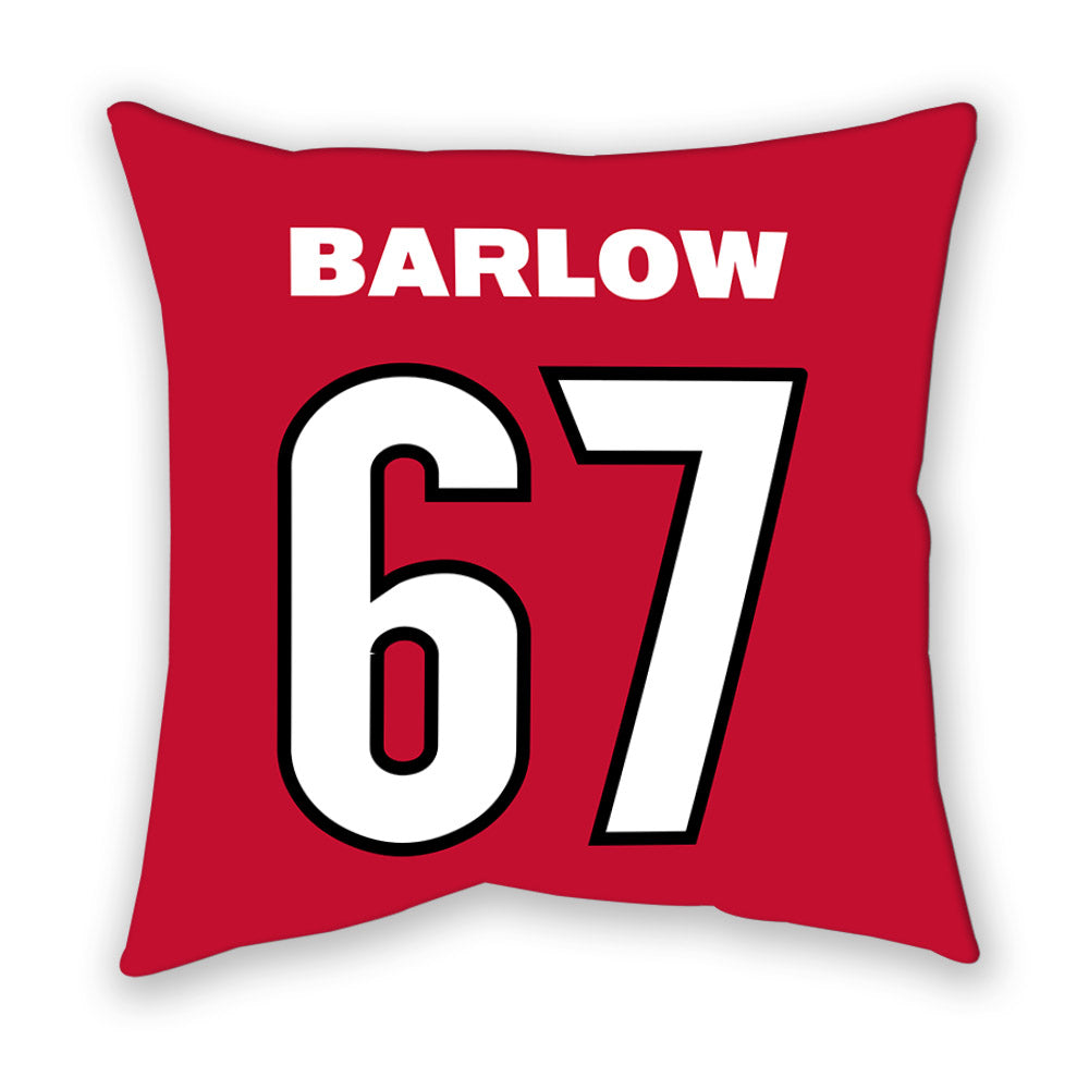 Georgia - NCAA Football : Clinton Barlow - Pillow-1