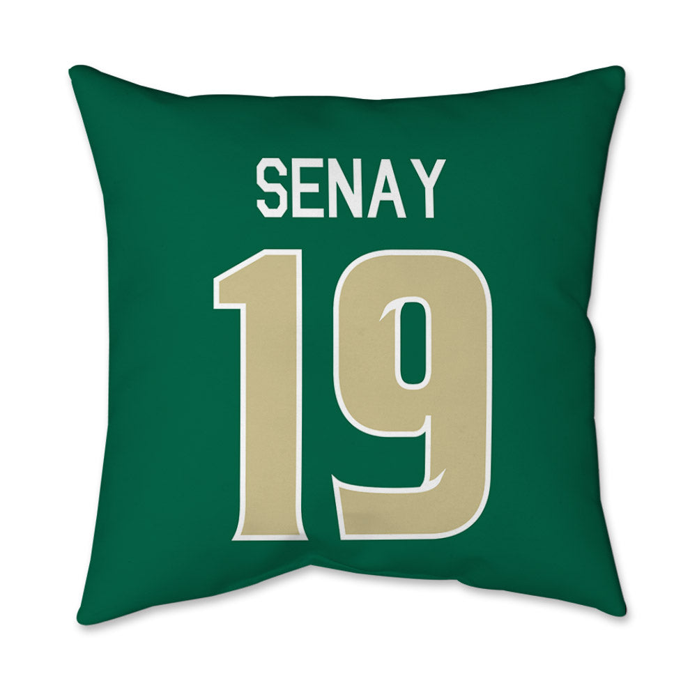USF - NCAA Baseball : Michael Senay - Graphic Pillow 16x16-1