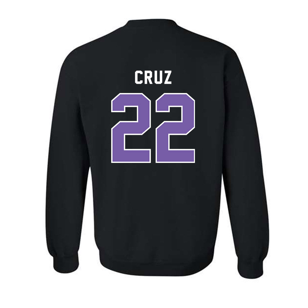 CCNY - NCAA Men's Basketball : Fabian Cruz - Classic Shersey Crewneck Sweatshirt-1