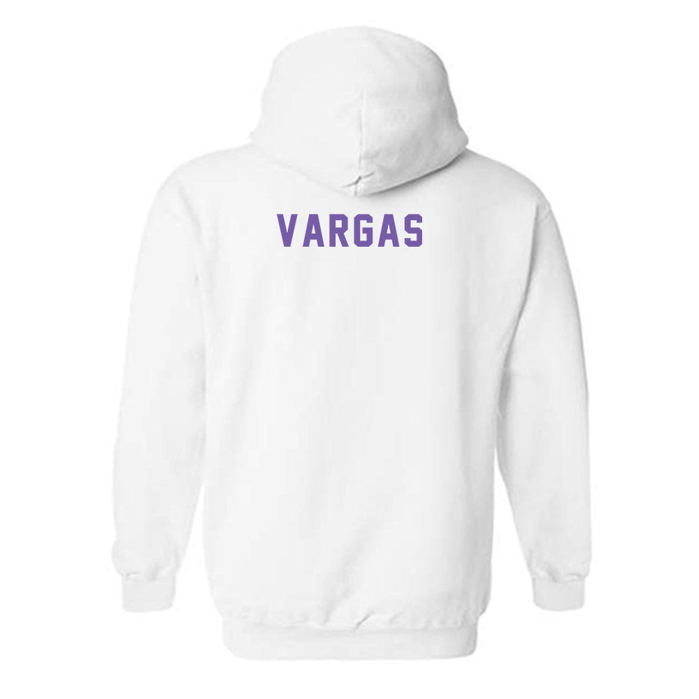 CCNY - NCAA Men's Track & Field : Julian Vargas - Classic Shersey Hooded Sweatshirt-1