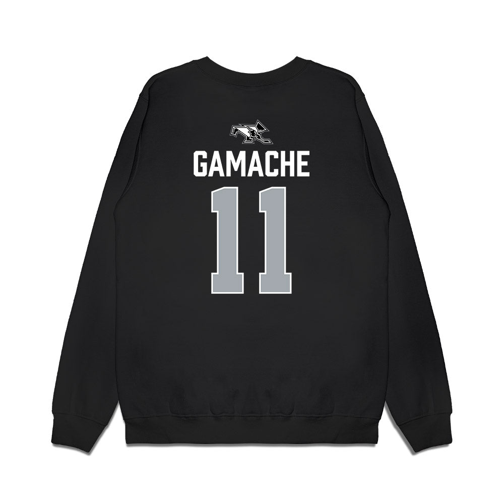 Providence - NCAA Men's Ice Hockey : Graham Gamache - Vintage Shersey Premium Crewneck Sweatshirt-1