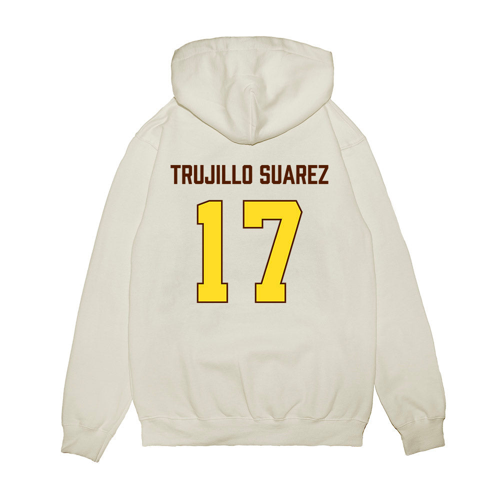Western Michigan - NCAA Women's Basketball : Irene Trujillo Suarez - Vintage Basketball Premium Hooded Sweatshirt-1