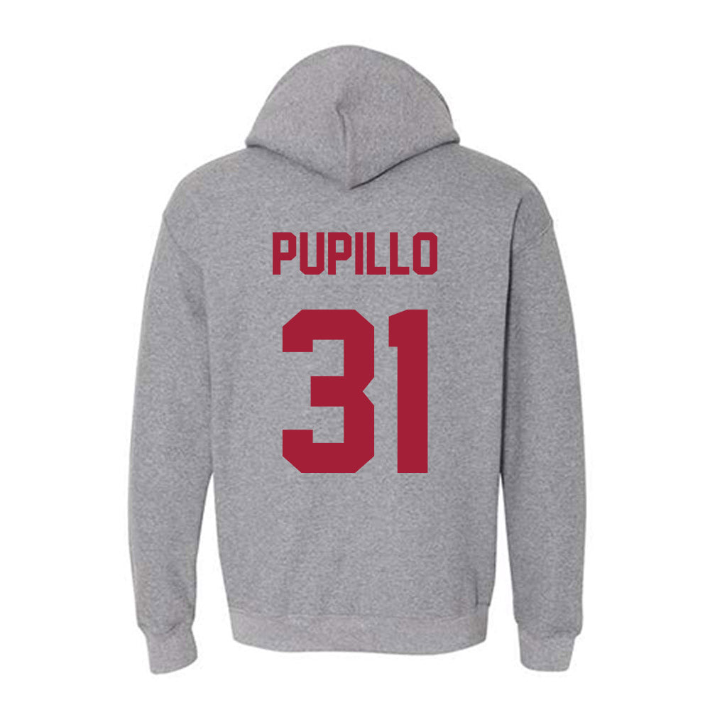 Alabama - NCAA Softball : Alexis Pupillo - Sports Shersey Hooded Sweatshirt