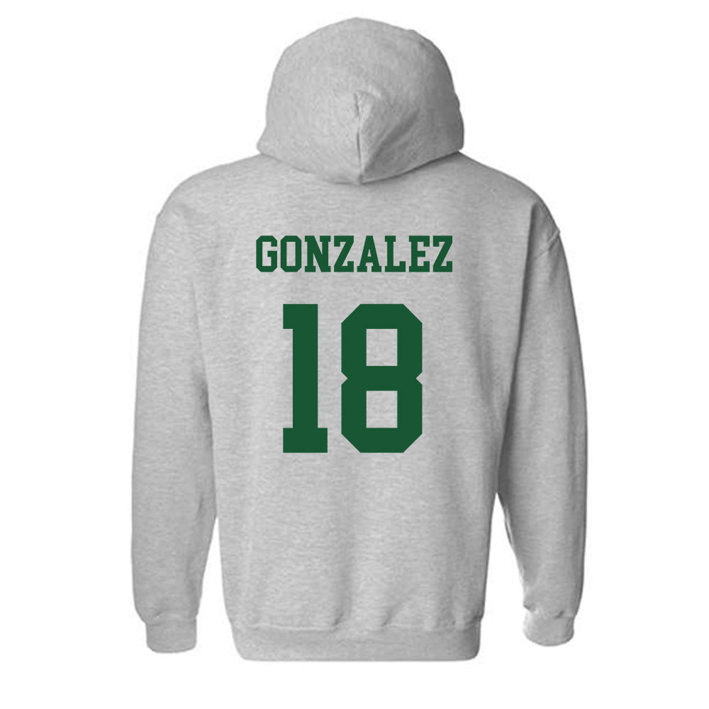 Colorado State - NCAA Softball : Rylee Gonzalez - Hooded Sweatshirt-1