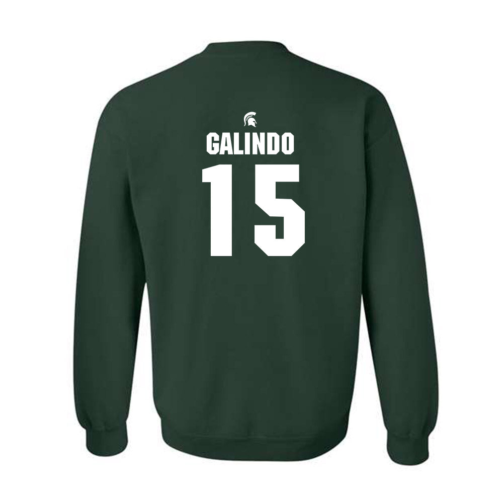 Michigan State - NCAA Softball : Alyssa Galindo - Generic Shersey Crewneck Sweatshirt-1