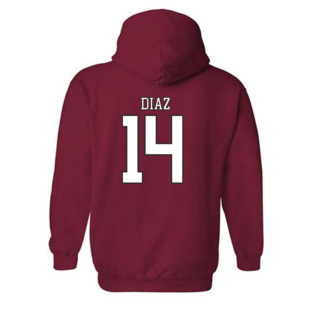 Troy - NCAA Baseball : Zaid Diaz - Generic Shersey Hooded Sweatshirt-1