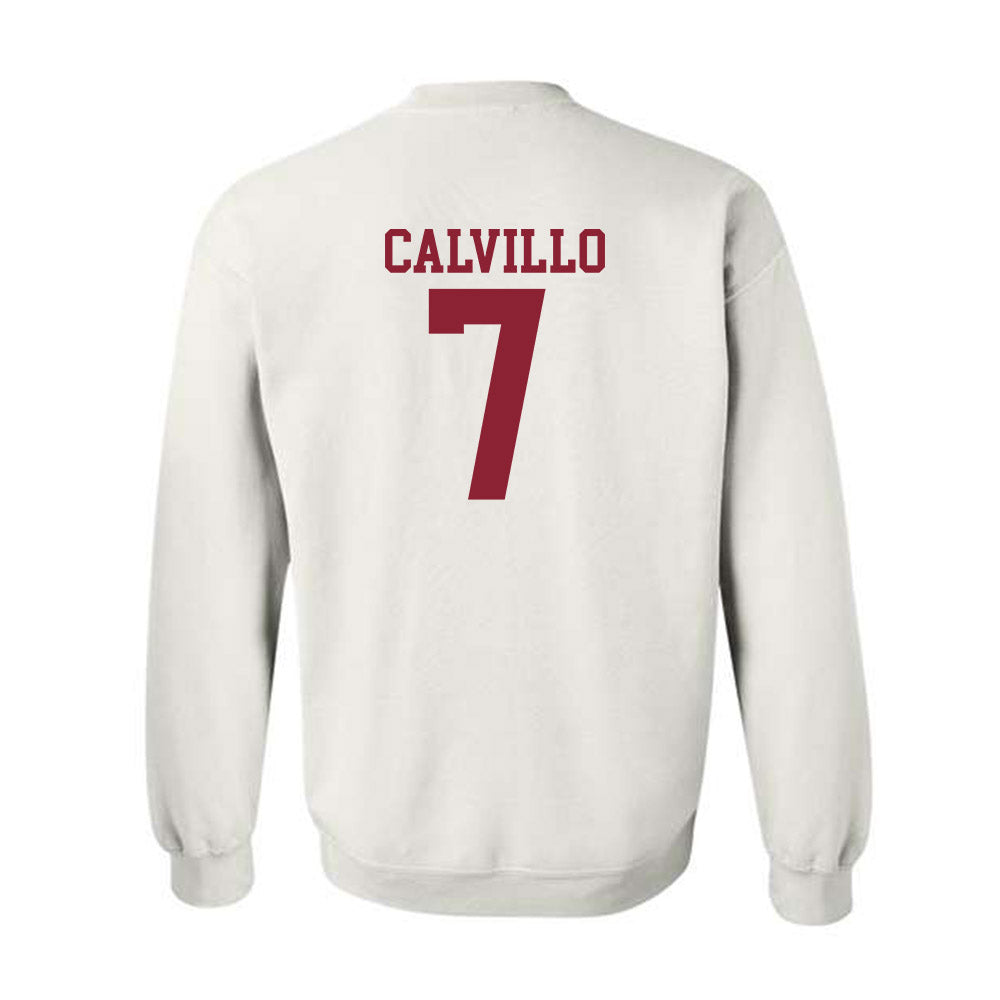 Troy - NCAA Women's Volleyball : Kalina Calvillo - Generic Shersey Crewneck Sweatshirt-1