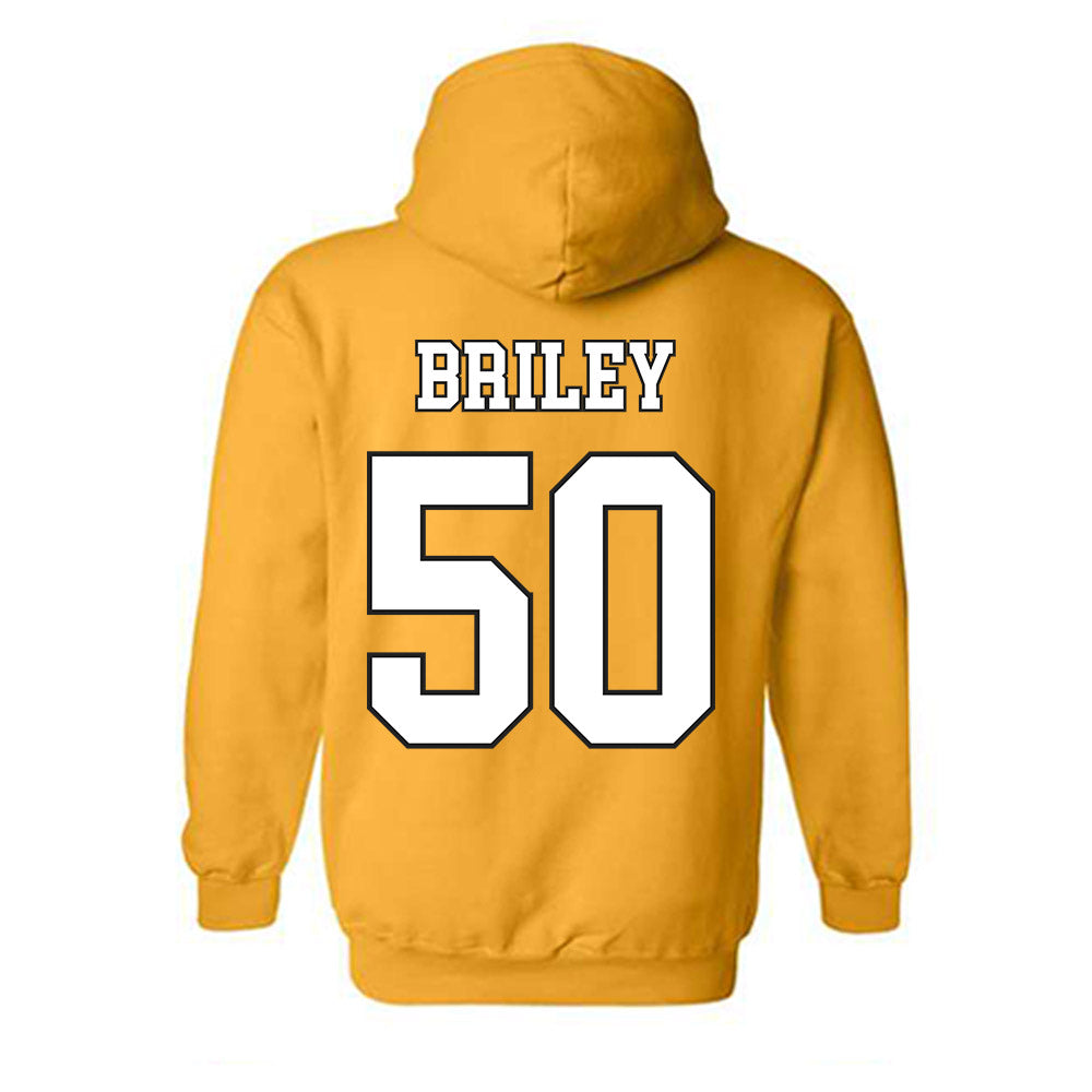 App State - NCAA Football : Jackson Briley - Generic Shersey Hooded Sweatshirt-1
