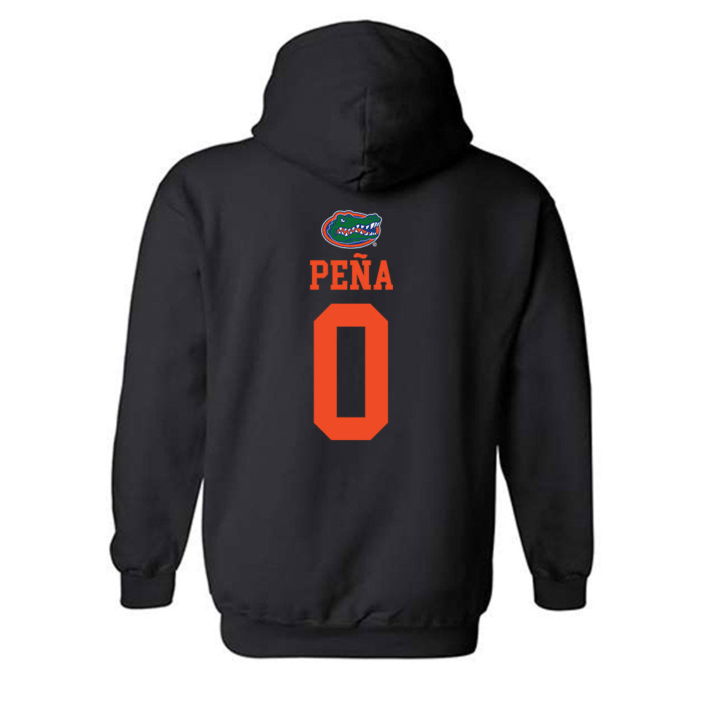 Florida - NCAA Women's Soccer : Paloma Peña - Hooded Sweatshirt-1