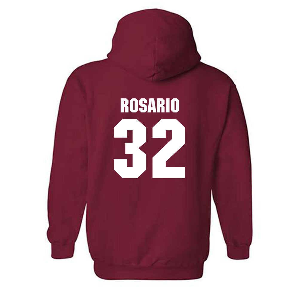 NC State - NCAA Men's Soccer : Gianni Rosario - Classic Shersey Hooded Sweatshirt-1