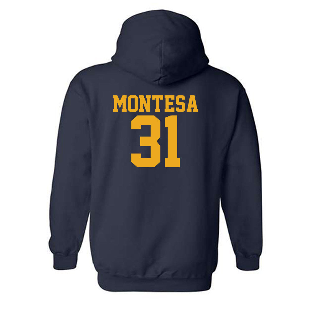 West Virginia - NCAA Baseball : Dawson Montesa - Fashion Shersey Hooded Sweatshirt-1