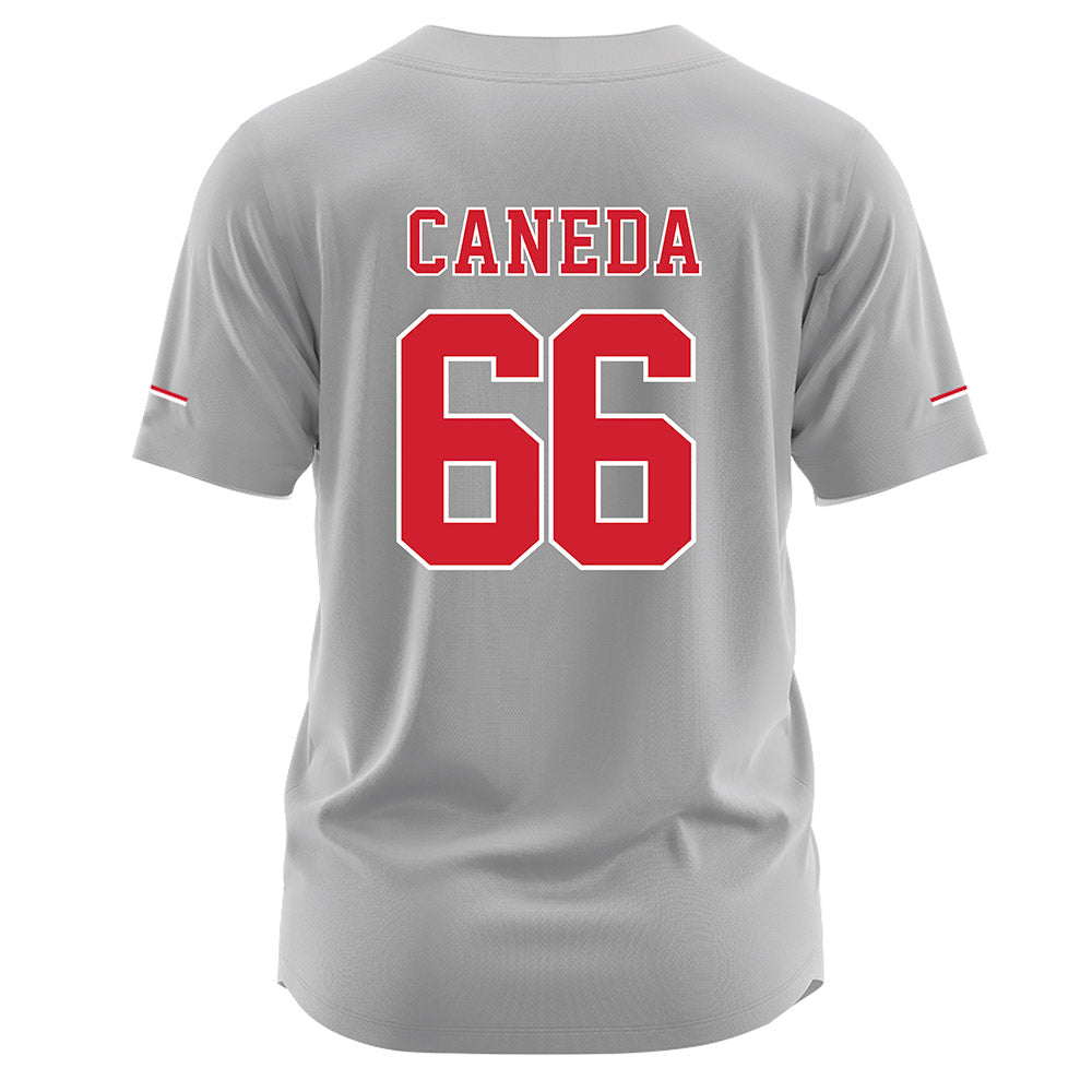 Nebraska - NCAA Softball : Katelyn Caneda - Grey Jersey