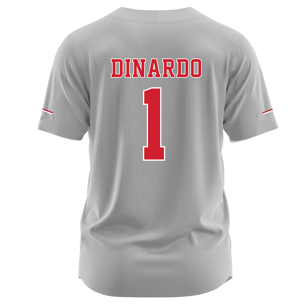 Nebraska - NCAA Softball : Olivia DiNardo - Grey Jersey-1
