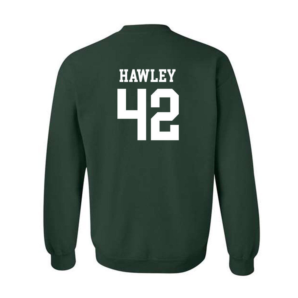 Michigan State - NCAA Softball : Hannah Hawley - Crewneck Sweatshirt Classic Shersey