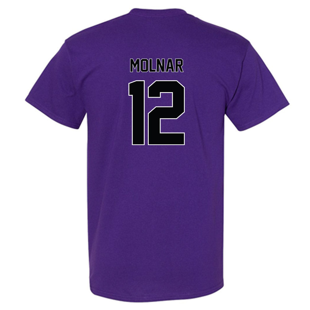 Furman - NCAA Men's Basketball : Davis Molnar - T-Shirt Replica Shersey