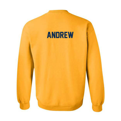 UTC - NCAA Wrestling : Logan Andrew - Gold Fashion Sweatshirt