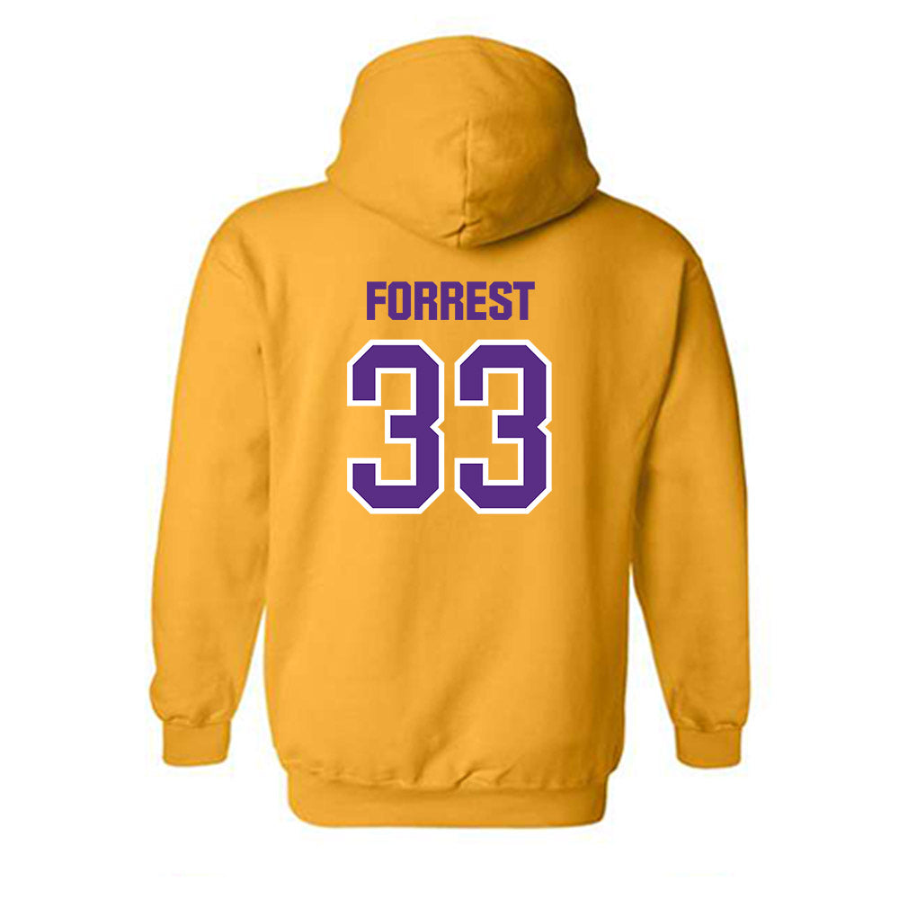 North Alabama - NCAA Men's Basketball : Damian Forrest - Hooded Sweatshirt Classic Shersey