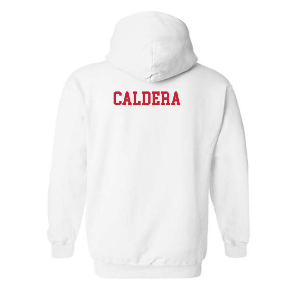 Fairfield - NCAA Men's Cross Country : Andrew Caldera - Hooded Sweatshirt Classic Shersey