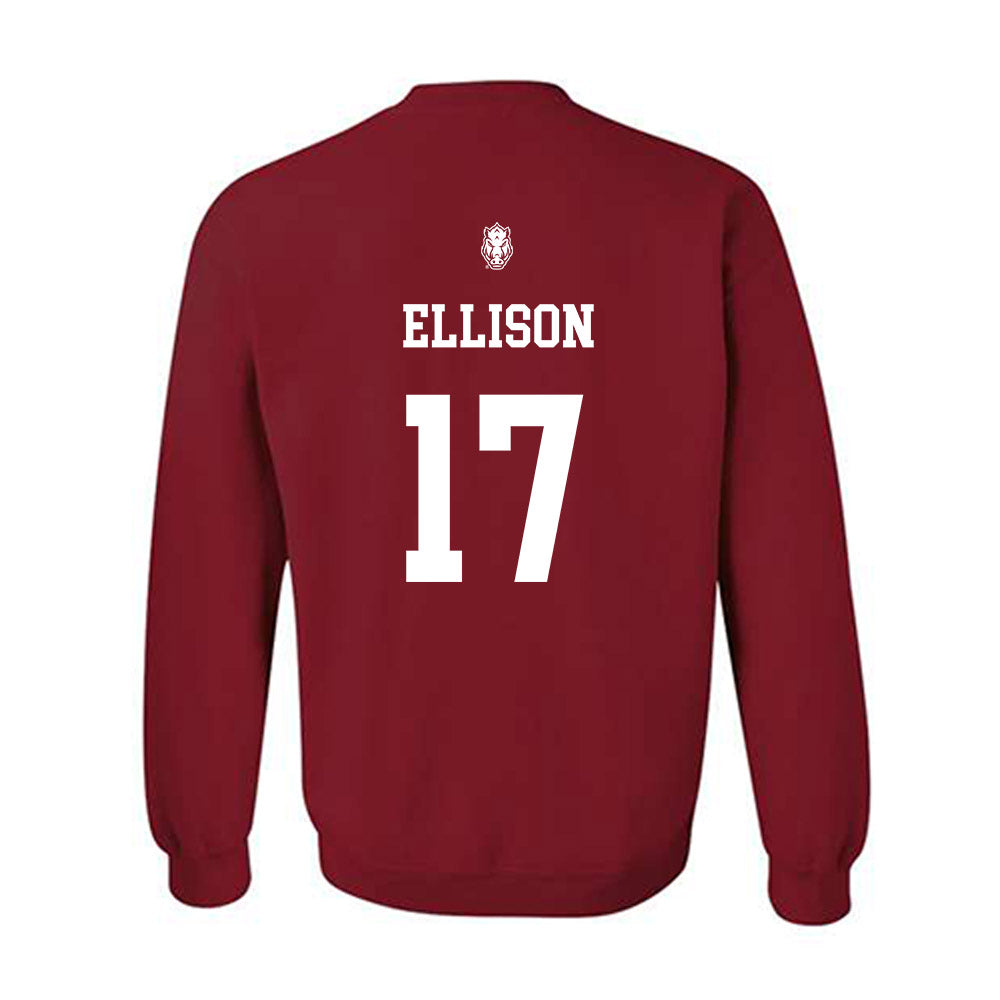 Arkansas - NCAA Women's Volleyball : Skylar Ellison Sweatshirt