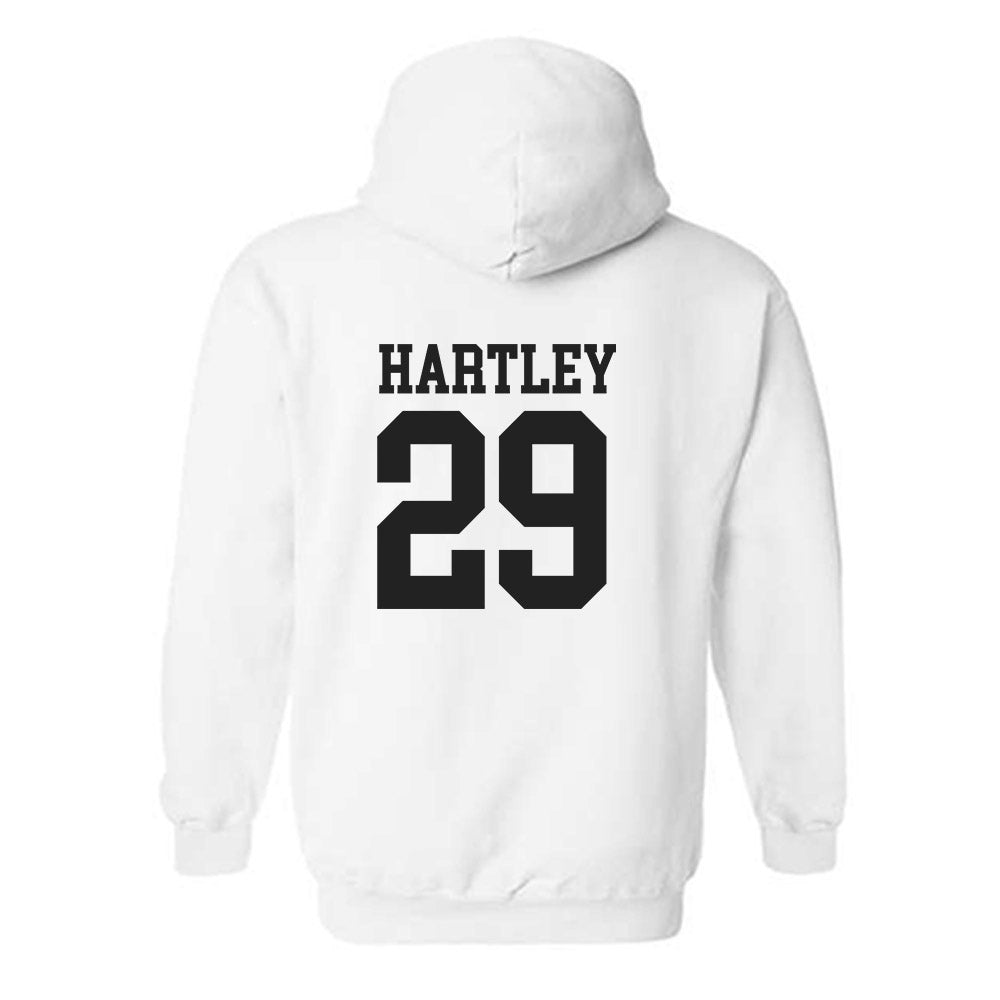 Campbell - NCAA Baseball : Wiley Hartley - Hooded Sweatshirt Replica Shersey