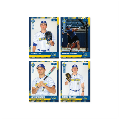 Delaware - NCAA Baseball - Starter Pack
