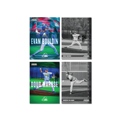 Delaware - NCAA Baseball - Starter Pack