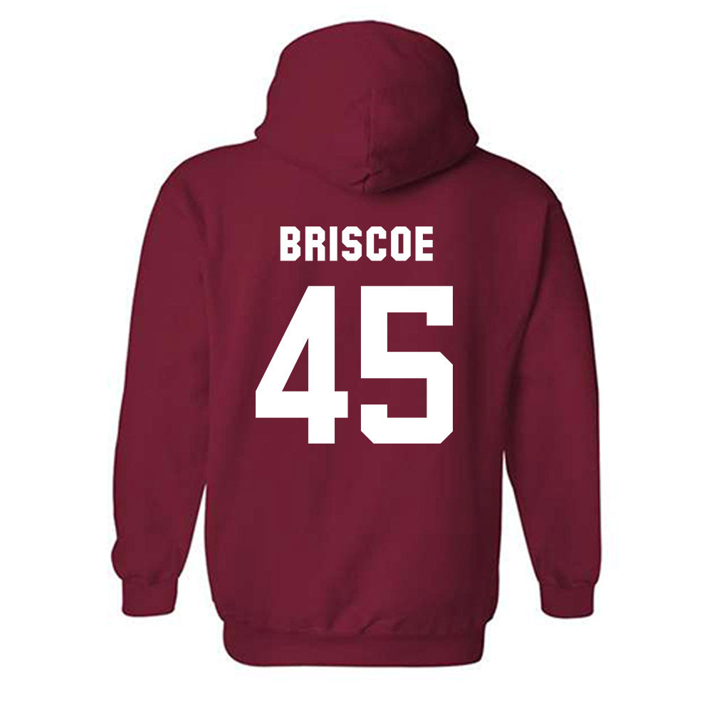 Arkansas - NCAA Baseball : Tye Briscoe - Classic Shersey Hooded Sweatshirt-1