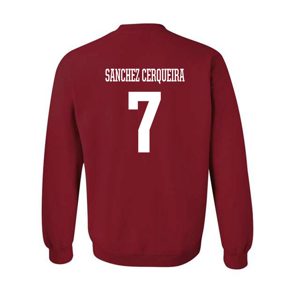 Arkansas - NCAA Women's Basketball : Cristina Sanchez Cerqueira - Classic Shersey Crewneck Sweatshirt-1