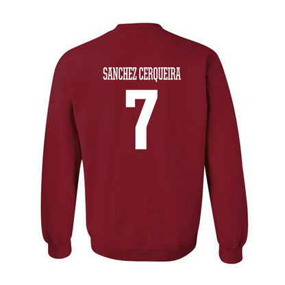 Arkansas - NCAA Women's Basketball : Cristina Sanchez Cerqueira - Classic Shersey Crewneck Sweatshirt-1