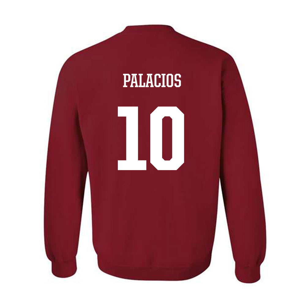Arkansas - NCAA Women's Soccer : Camila Palacios - Classic Shersey Crewneck Sweatshirt-1