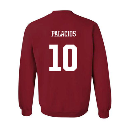 Arkansas - NCAA Women's Soccer : Camila Palacios - Classic Shersey Crewneck Sweatshirt-1