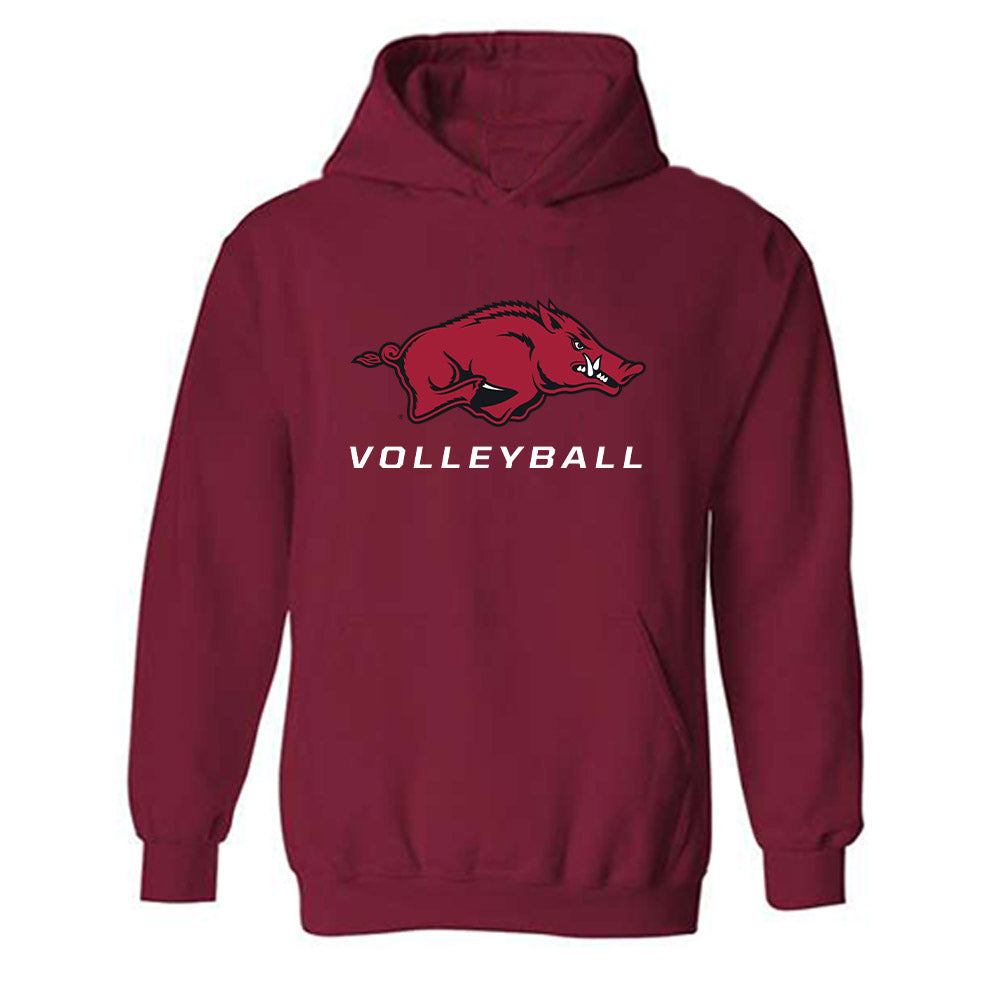 Arkansas - NCAA Women's Volleyball : Aleki Alexander - Classic Shersey Hooded Sweatshirt