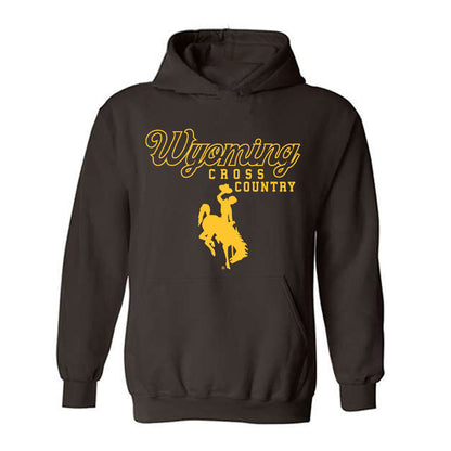 Wyoming - NCAA Men's Cross Country : Aidan Ramsey - Classic Shersey Hooded Sweatshirt-0