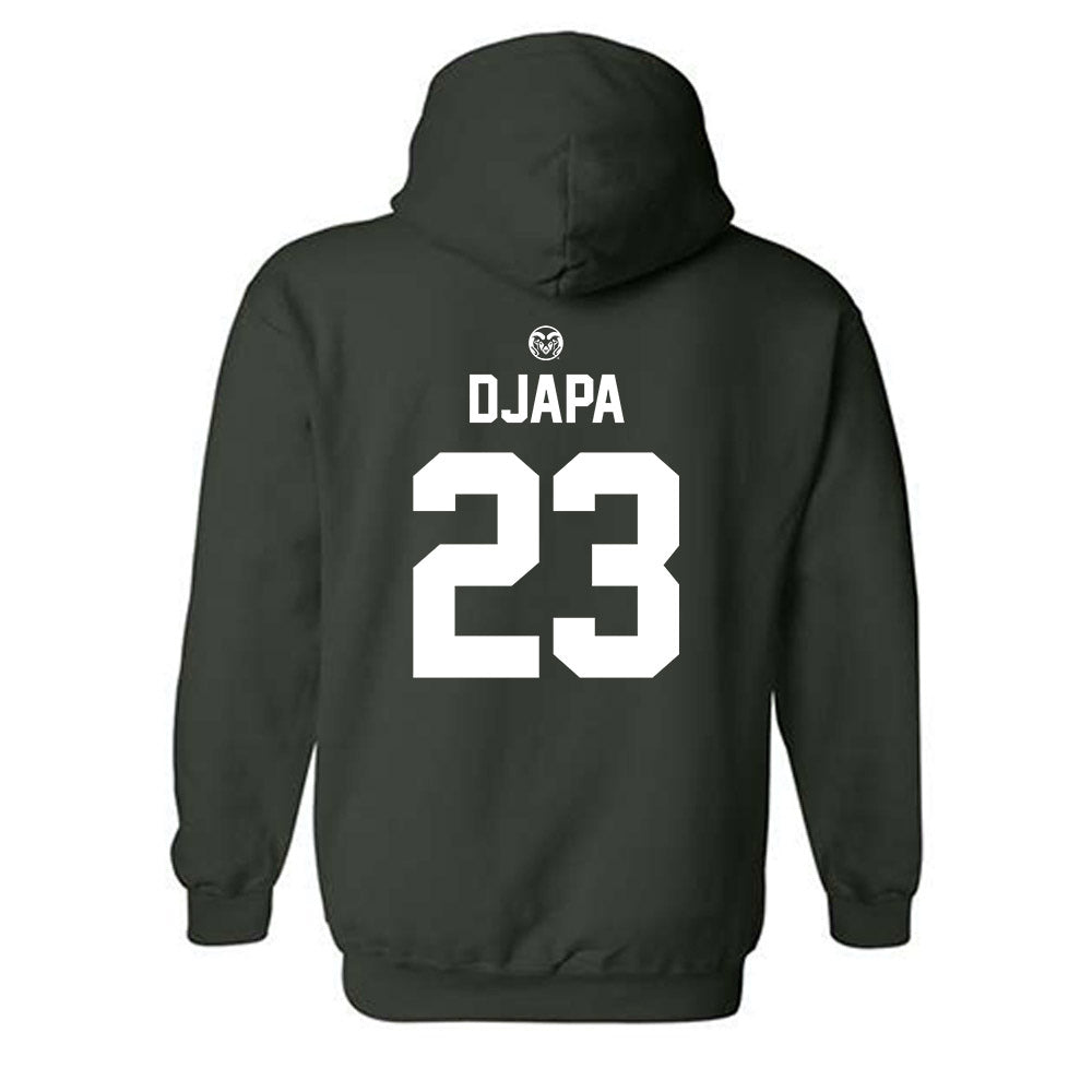 Colorado State - NCAA Men's Basketball : Nikola Djapa - Hooded Sweatshirt-1