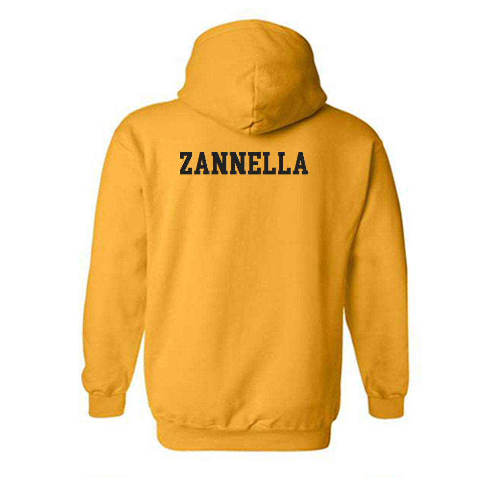 Missouri - NCAA Men's Swimming & Diving : Tommaso Zannella - Classic Shersey Hooded Sweatshirt-1