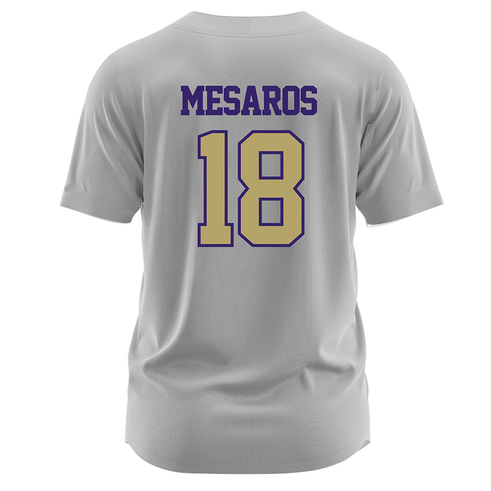 JMU - NCAA Softball : Morgan Mesaros - Grey Jersey-1