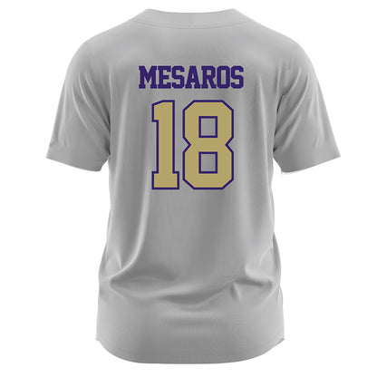 JMU - NCAA Softball : Morgan Mesaros - Grey Jersey-1