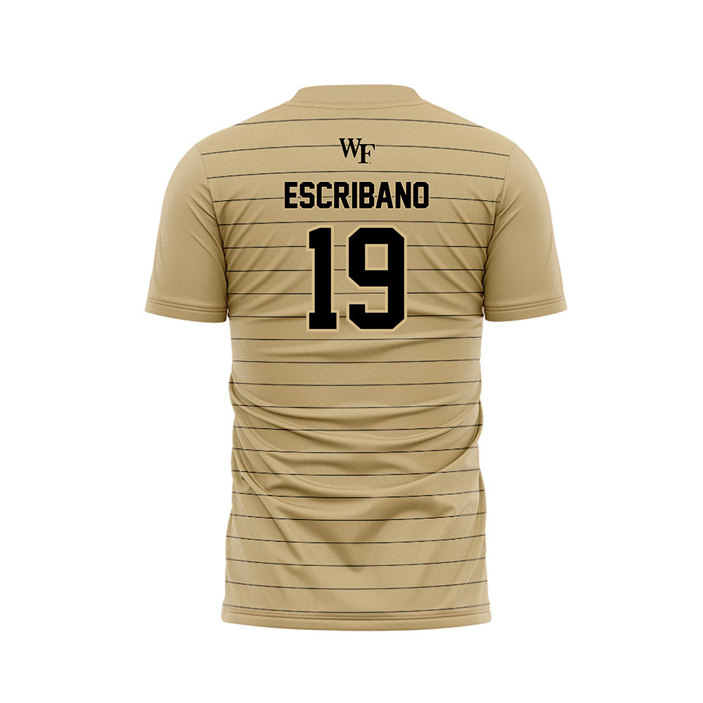 Wake Forest - NCAA Men's Soccer : Cristian Escribano - Gold Soccer Jersey