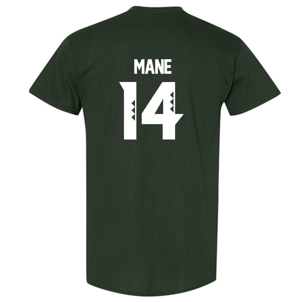 Hawaii - NCAA Women's Volleyball : Tyla Reese Mane - Classic Shersey T-Shirt-1