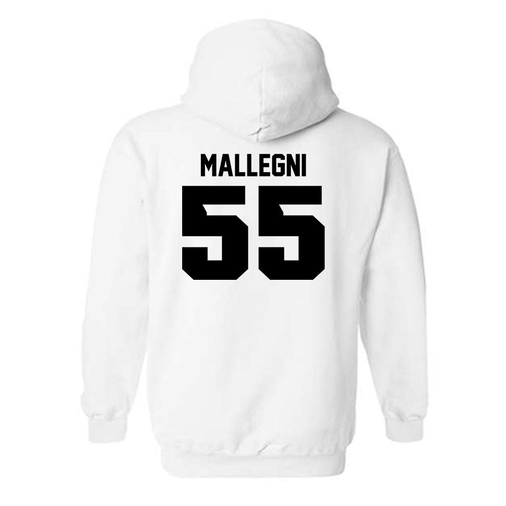 Iowa - NCAA Women's Basketball : Teagan Mallegni - Classic Shersey Hooded Sweatshirt-1