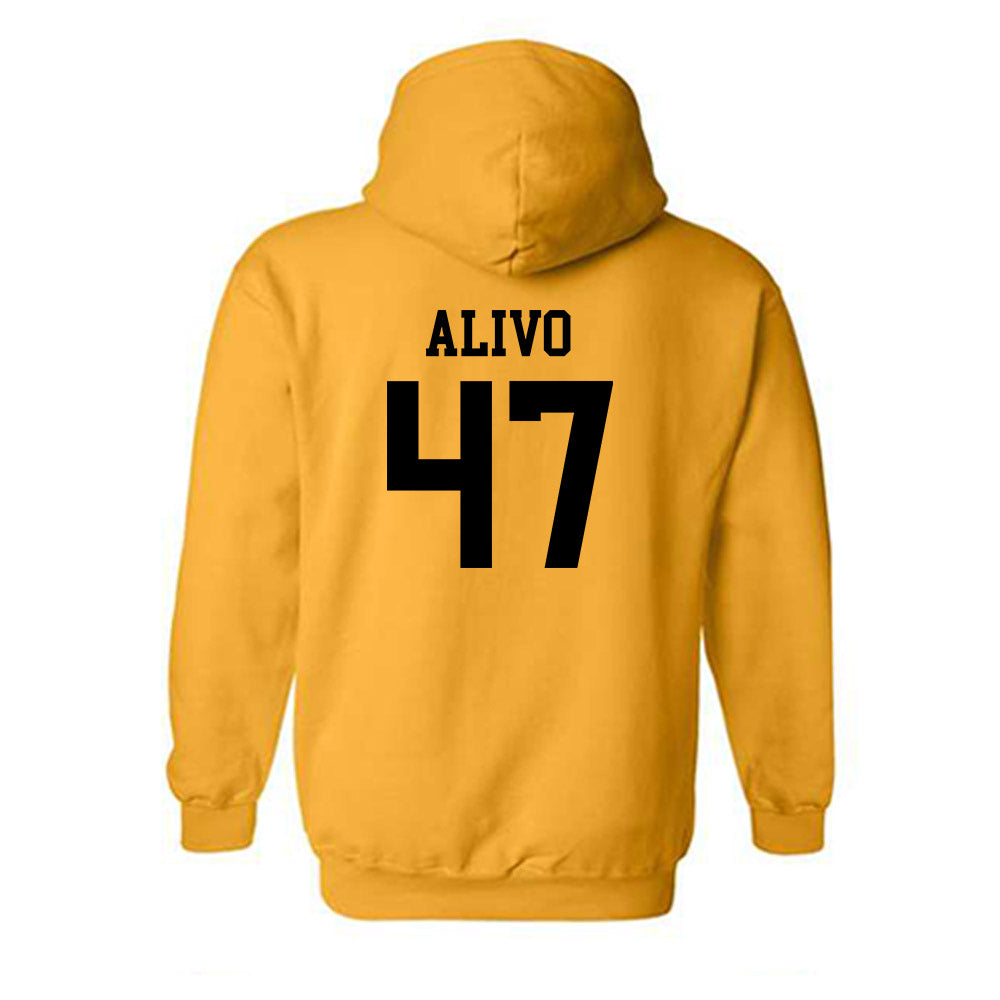 Iowa - NCAA Baseball : Kyle Alivo - Classic Shersey Hooded Sweatshirt