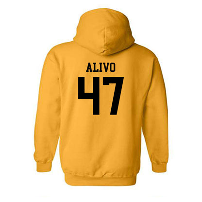 Iowa - NCAA Baseball : Kyle Alivo - Classic Shersey Hooded Sweatshirt