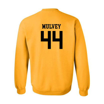 Iowa - NCAA Men's Basketball : Riley Mulvey - Classic Shersey Crewneck Sweatshirt