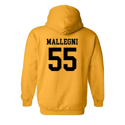 Iowa - NCAA Women's Basketball : Teagan Mallegni - Classic Shersey Hooded Sweatshirt-1