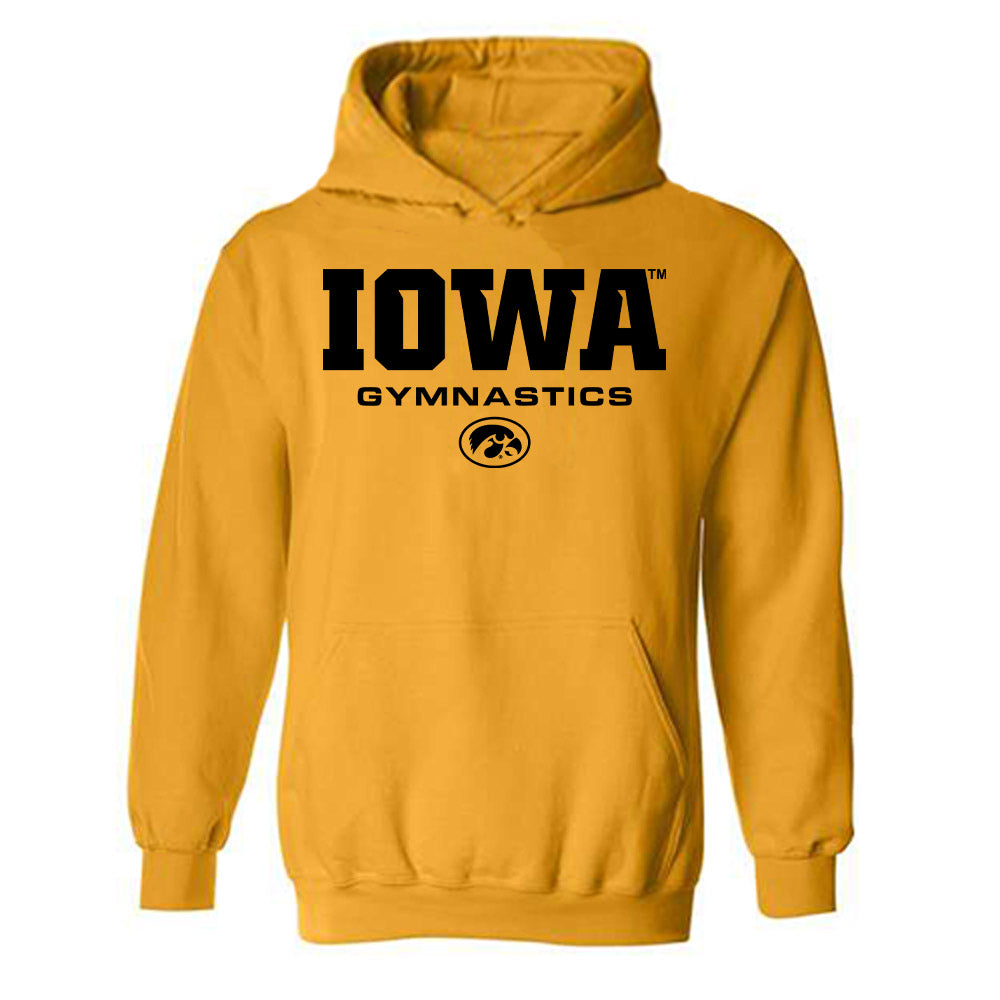 Iowa - NCAA Men's Gymnastics : Harrison Brandt - Classic Shersey Hooded Sweatshirt