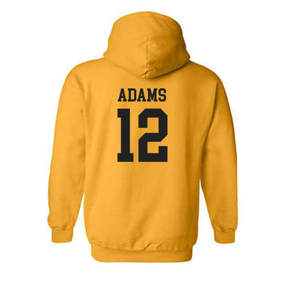 Iowa - NCAA Softball : Jalen Adams - Classic Shersey Hooded Sweatshirt-1