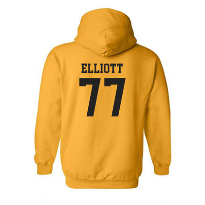 Iowa - NCAA Softball : Sofia Elliott - Classic Shersey Hooded Sweatshirt