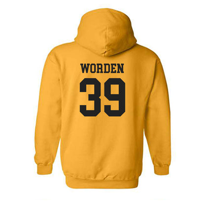 Iowa - NCAA Women's Volleyball : Alyssa Worden - Classic Shersey Hooded Sweatshirt